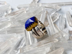 Indus Ring