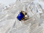 Indus Ring