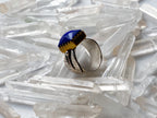 Indus Ring