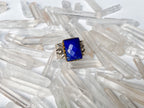 Indus Ring