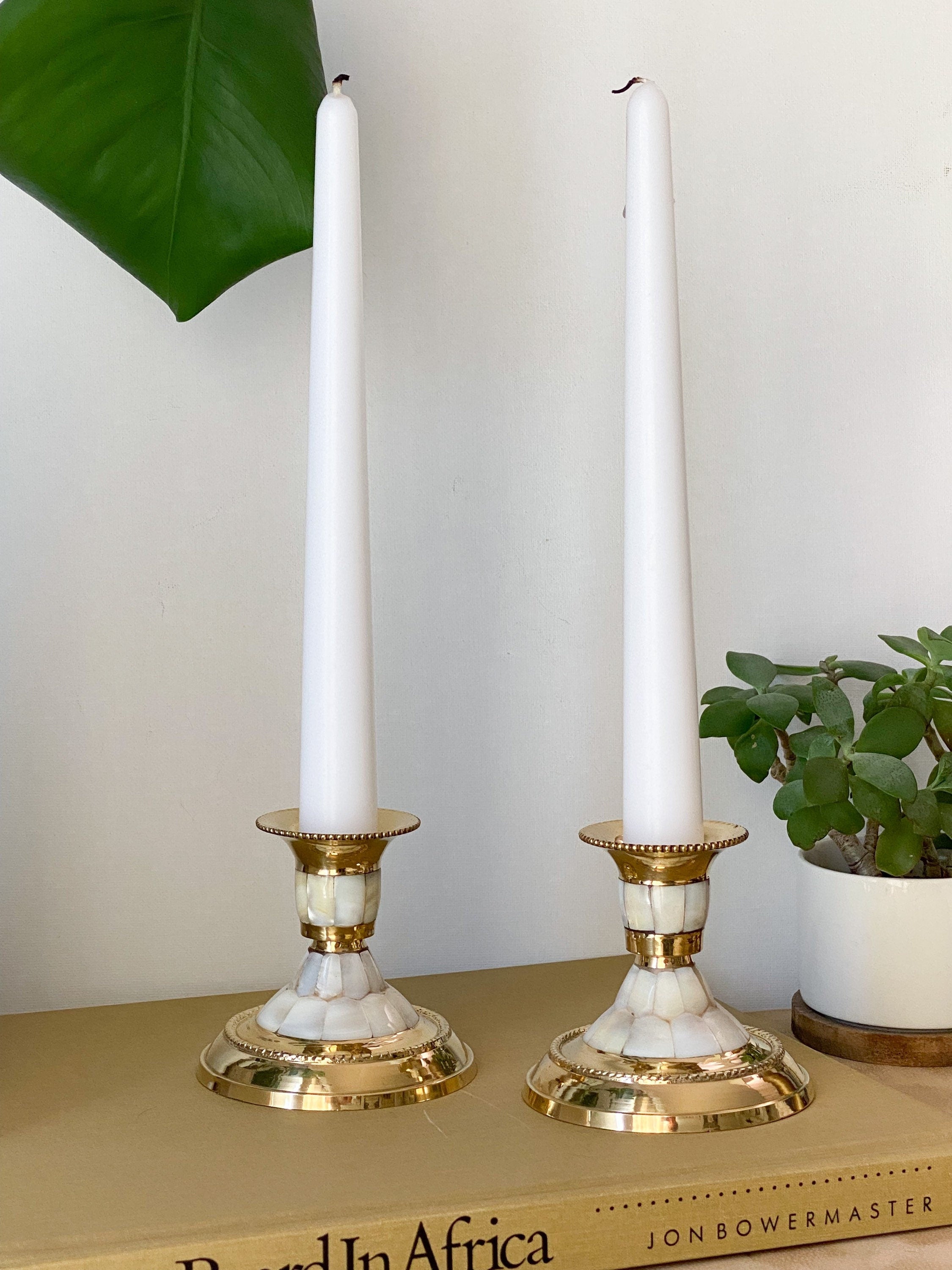 Akshi Candlesticks