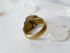 Panjab Ring