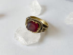 Panjab Ring
