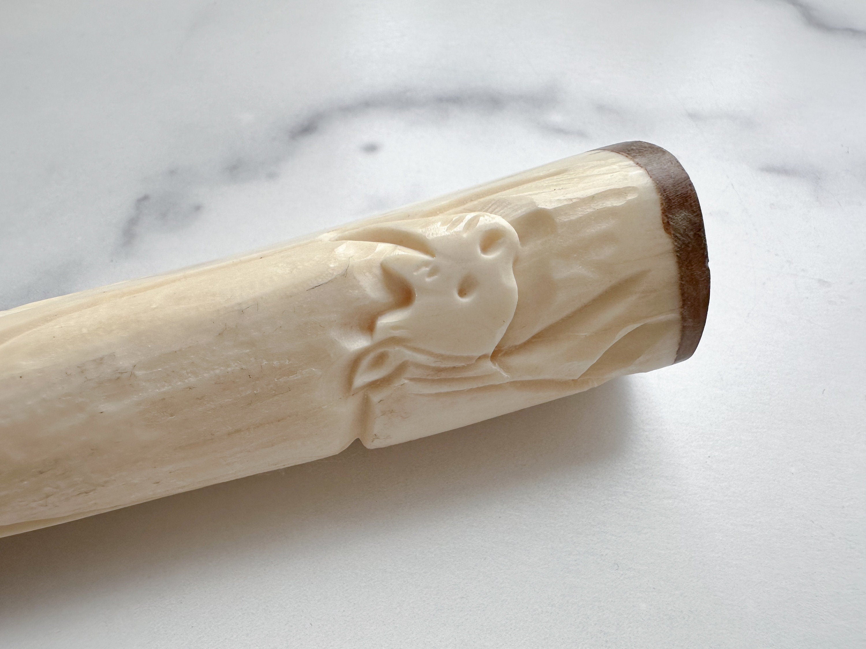 Rhino Bottle Opener